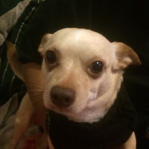 Meet your Posher, Bernadette